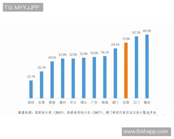 深圳飞盘队状态分析与表现评估探讨及未来发展方向