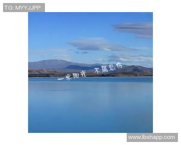 深度对话陈伟排球人生的起伏与坚持探索之路