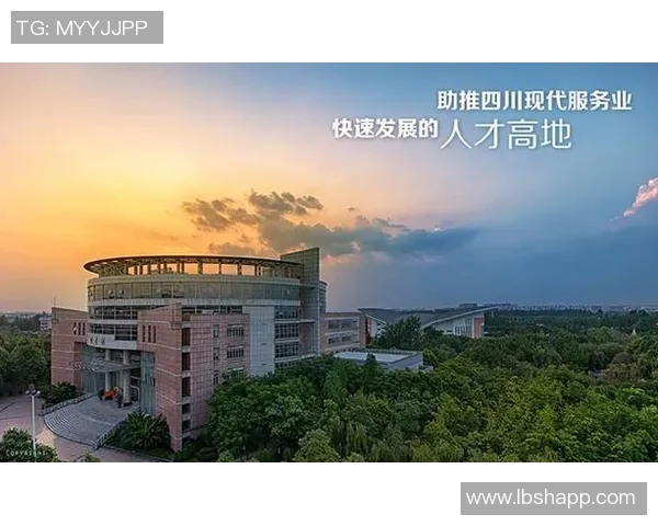 张帆：在风浪中扬帆起航的勇者与梦想追逐者的故事