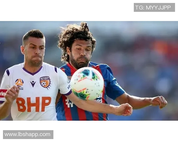 悉尼皇帝与柏斯野猫的精彩对决谁将赢得澳洲足球赛季的荣耀